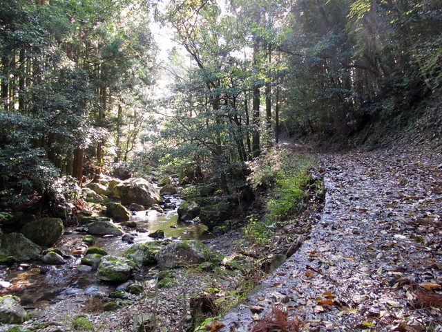 t12_025.jpg