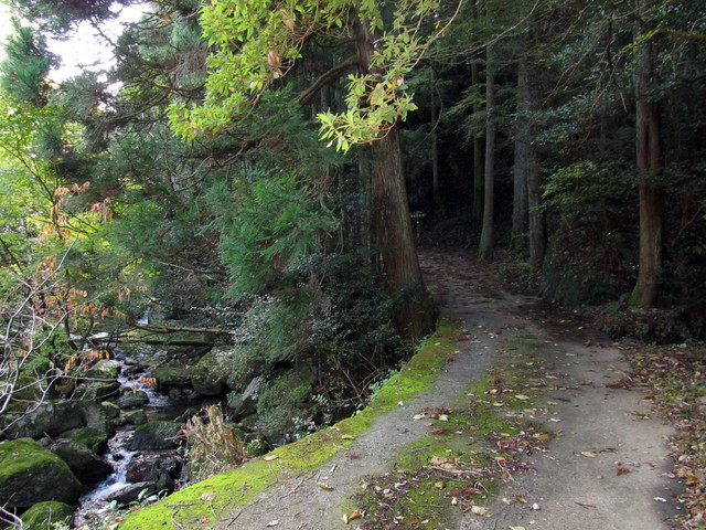 t12_026.jpg