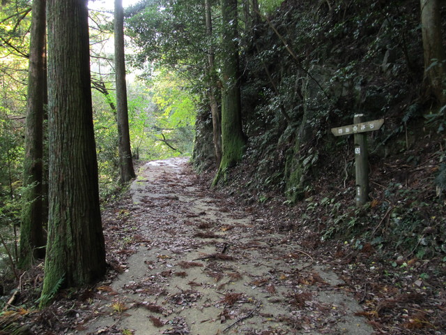 t12_027.jpg