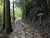 t12_027_thumb.jpg