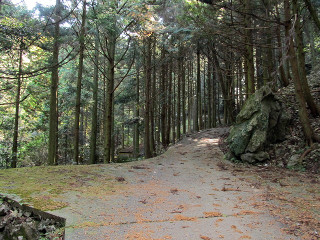 t12_028.jpg