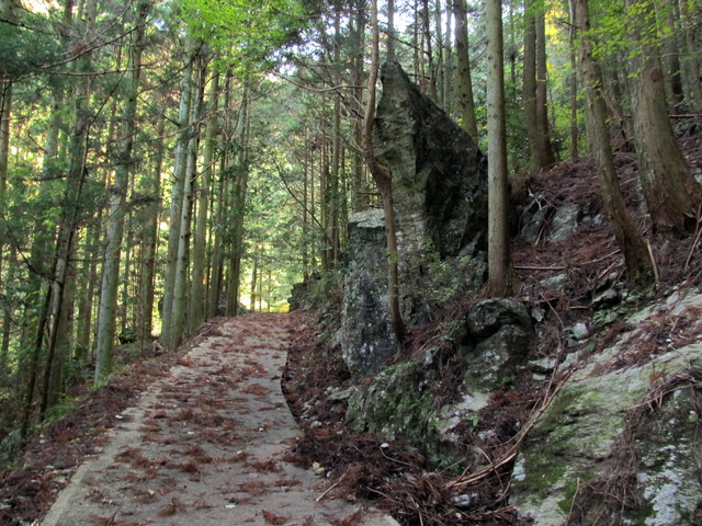 t12_029.jpg