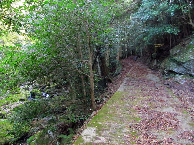 t12_030.jpg