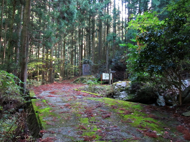 t12_032.jpg