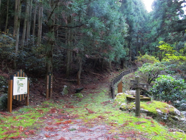 t12_033.jpg