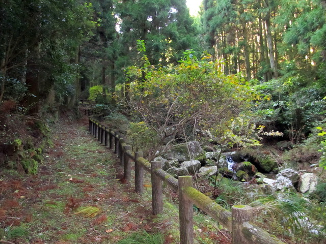 t12_034.jpg