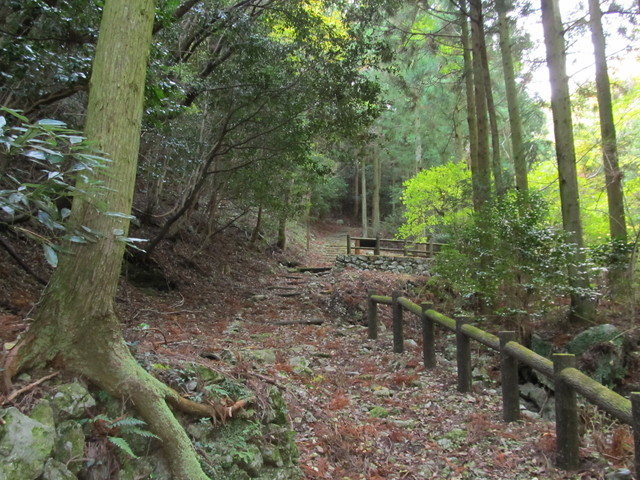 t12_035.jpg