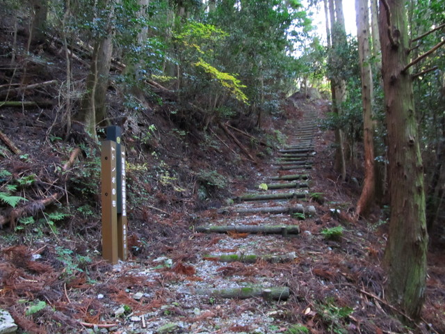 t12_036.jpg