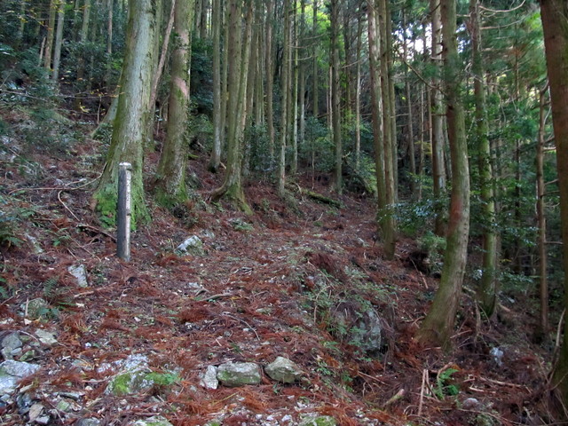 t12_037.jpg