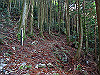 t12_037_thumb.jpg