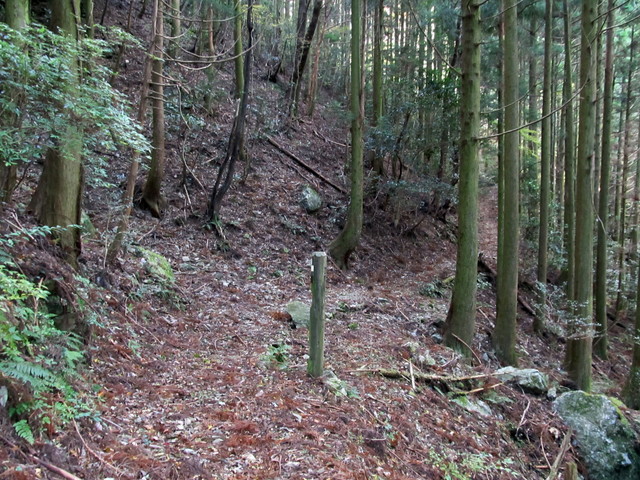 t12_039.jpg
