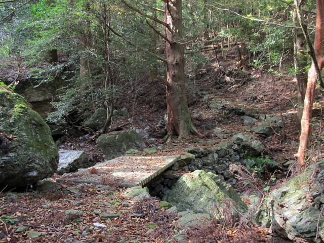 t12_040.jpg