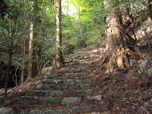 t12_042.jpg