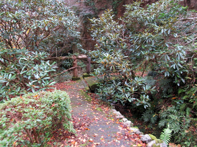 t12_046.jpg