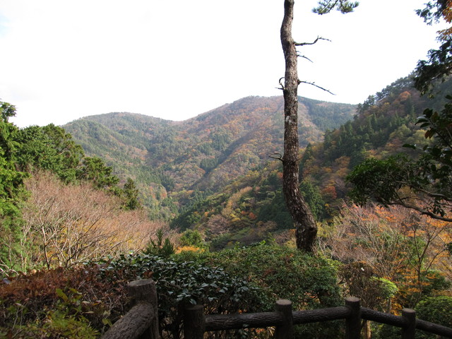 t12_047.jpg