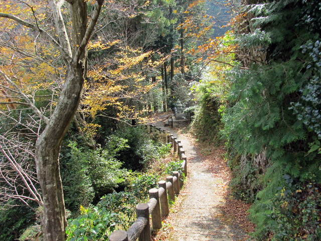 t12_048.jpg