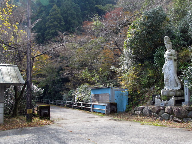 t12_050.jpg