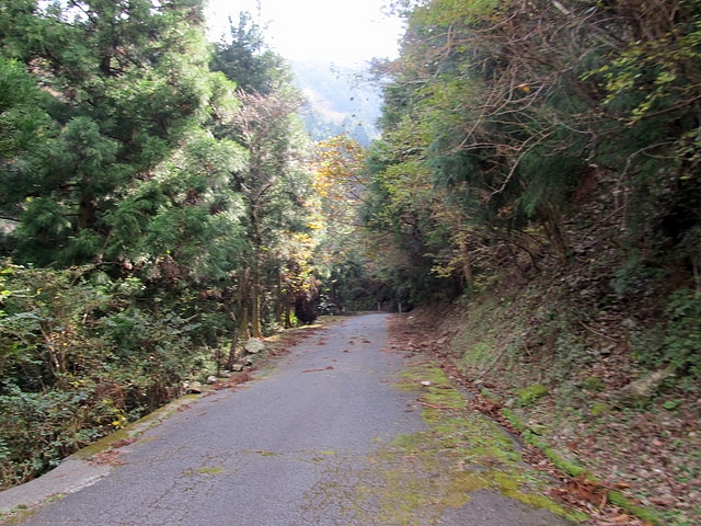 t12_052.jpg