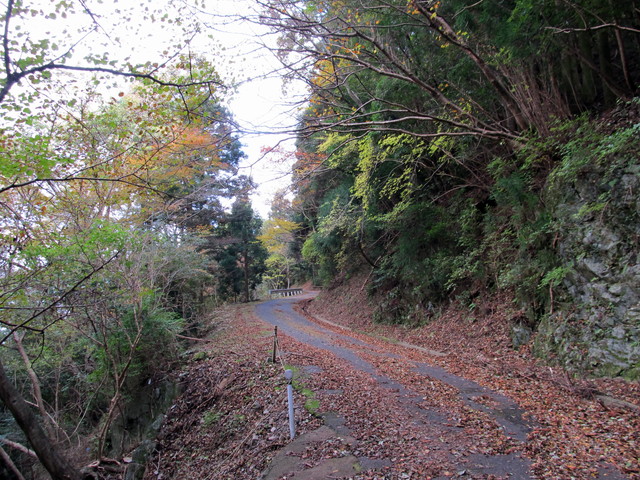 t12_053.jpg