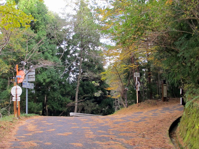 t12_054.jpg