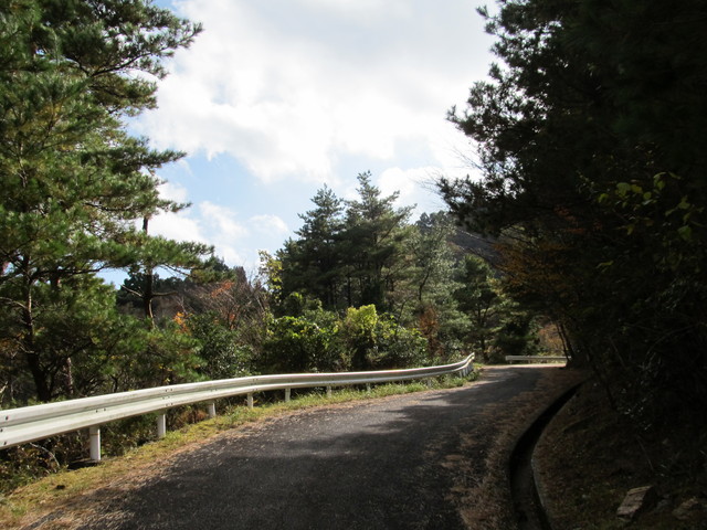 t12_055.jpg