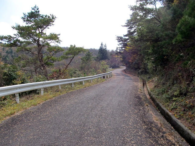 t12_056.jpg