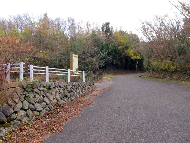 t12_057.jpg