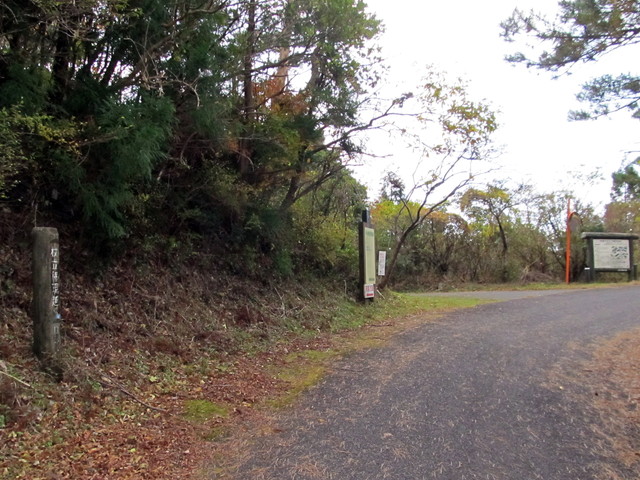 t12_058.jpg