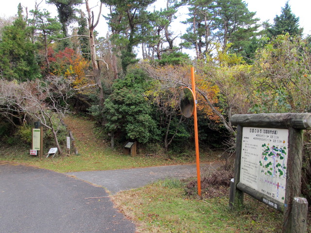 t12_060.jpg