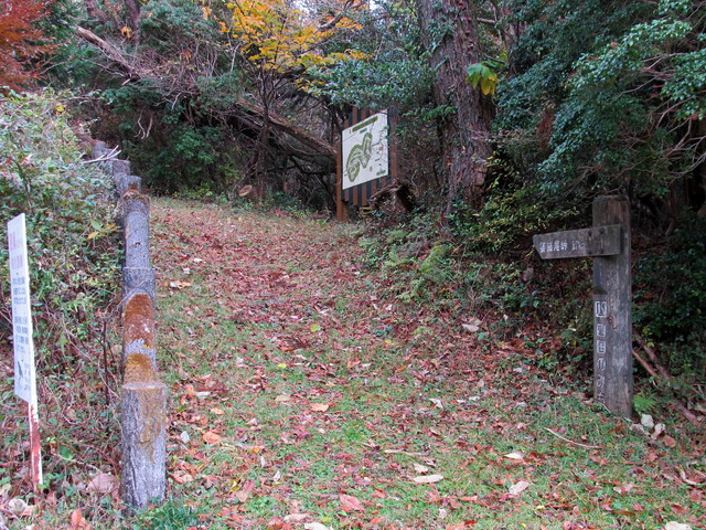 t12_061.jpg