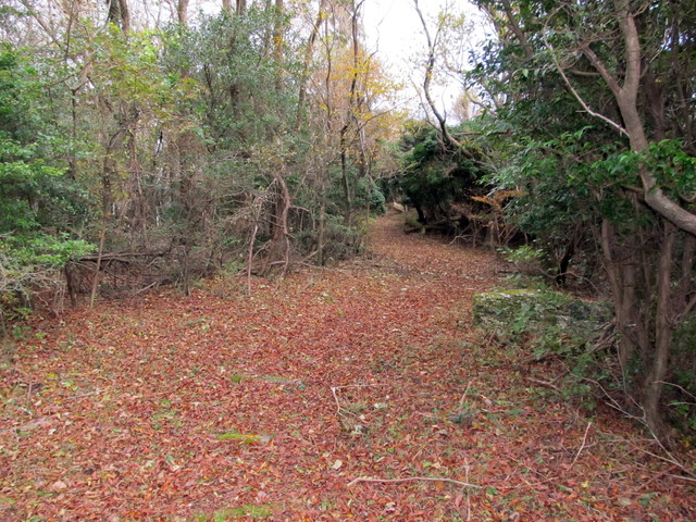 t12_062.jpg