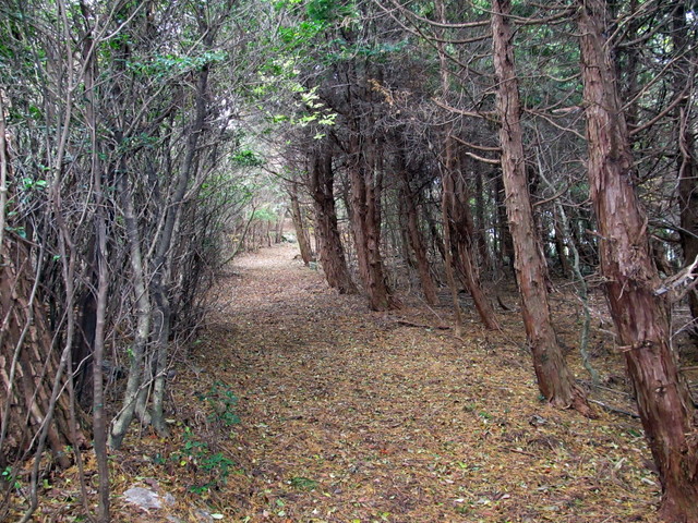 t12_064.jpg