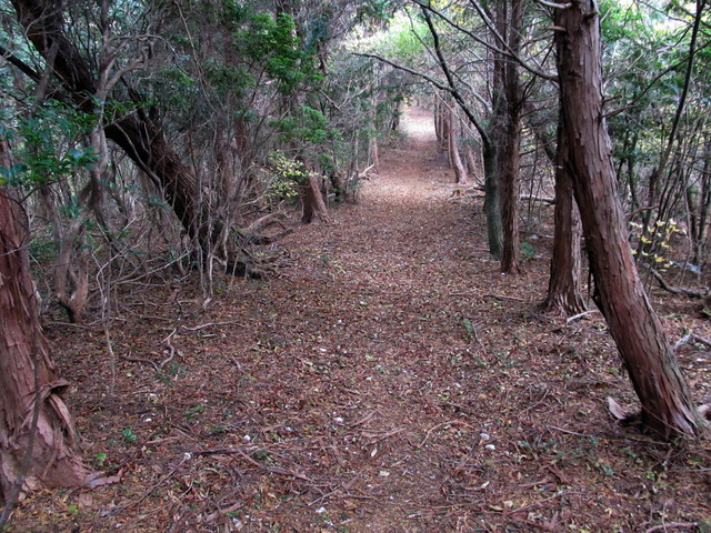 t12_065.jpg