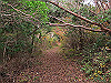 t12_066_thumb.jpg