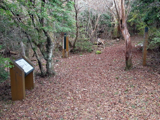 t12_067.jpg