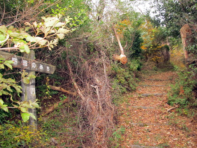 t12_068.jpg
