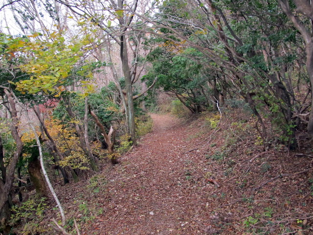 t12_069.jpg