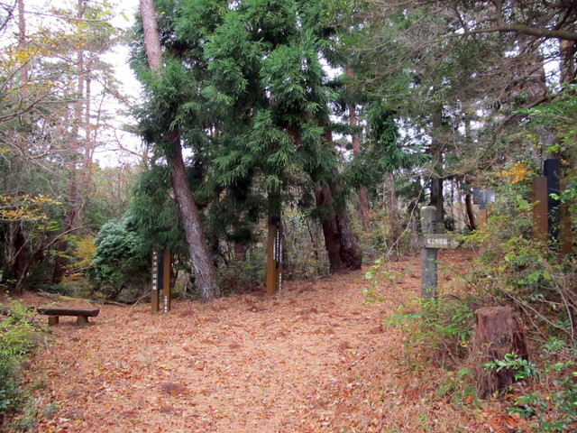 t12_070.jpg