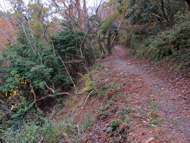 t12_072.jpg