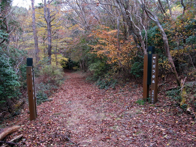 t12_074.jpg