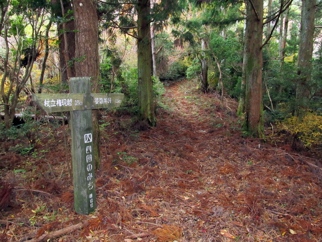 t12_075.jpg