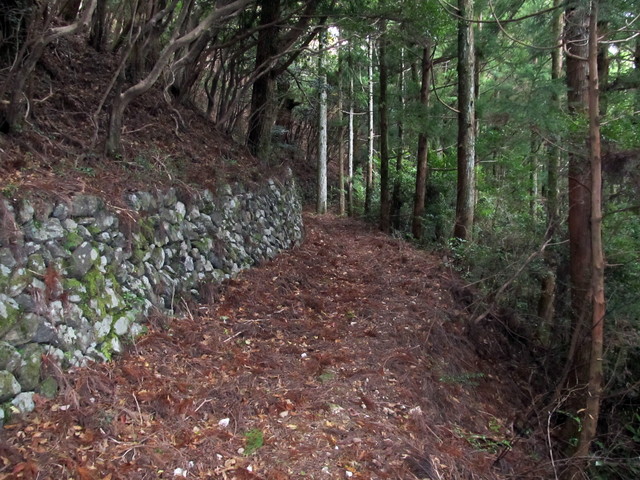 t12_076.jpg
