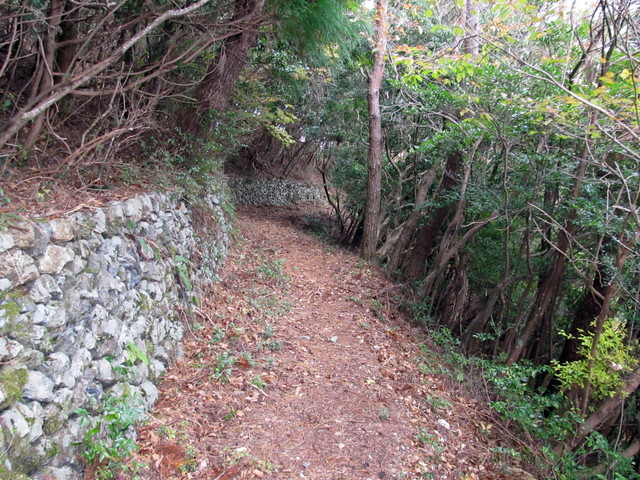 t12_078.jpg