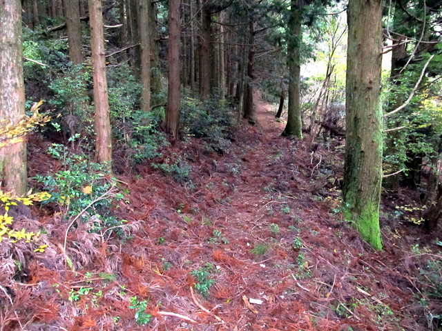 t12_080.jpg