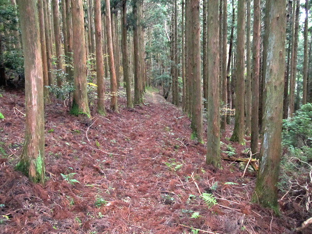 t12_082.jpg