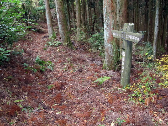 t12_083.jpg