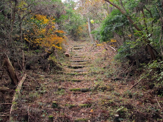 t12_084.jpg