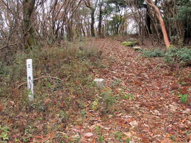 t12_085.jpg