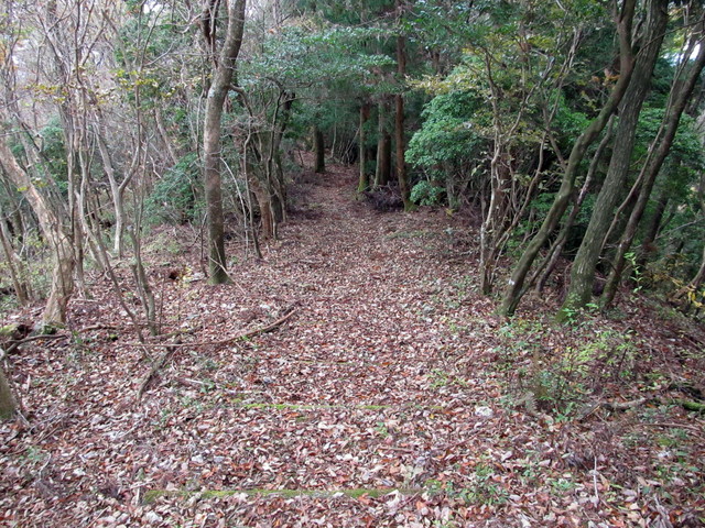 t12_086.jpg