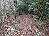 t12_086_thumb.jpg